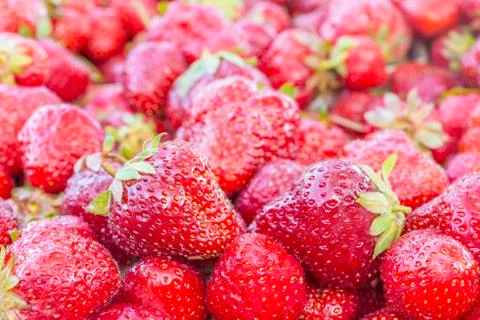 Fresh strawberries Stock Photos