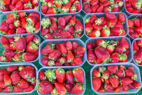 Fresh strawberries Foto stock