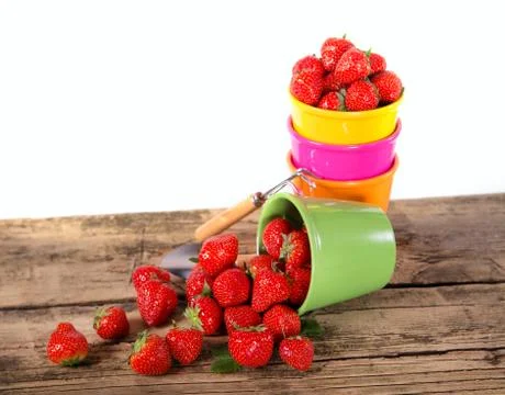 Fresh strawberries Stock Photos