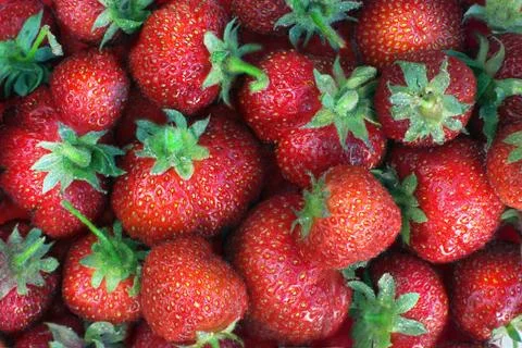 Fresh strawberries Foto stock