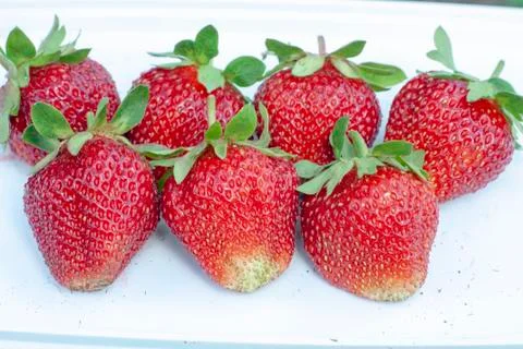 Fresh strawberries Stock Photos