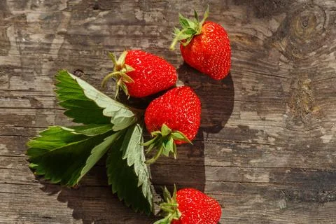 Fresh strawberries Stock Photos