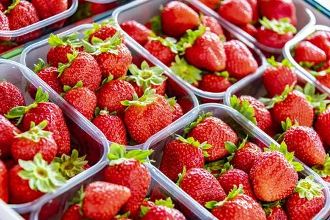 Fresh strawberries in plastic boxes put up for sale in the store. Foto stock