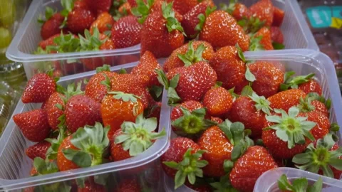 Fresh strawberries in plastic containers in the store. Stock Footage 262561981