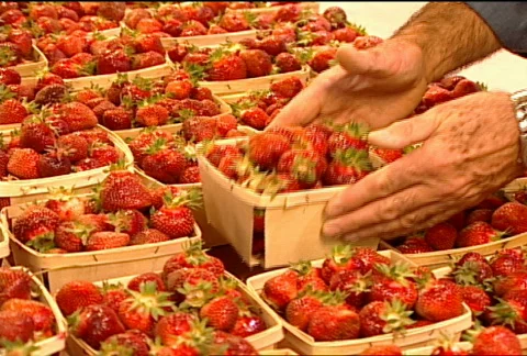 Fresh Strawberries for Sale 068 Stock Footage 488053