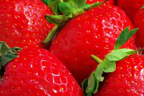 Fresh Strawberry Background Stock Photos