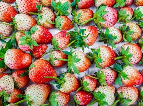 Fresh strawberry background Fotos de archivo
