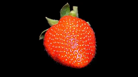 Fresh Strawberry on Black Background – close up, detail Stockbeeldmateriaal 90803768