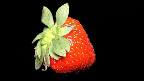 Fresh Strawberry on Black Background – close up, detail Stock Footage 90803831