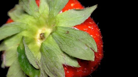Fresh Strawberry on Black Background – close up, detail Stock Footage 90803918
