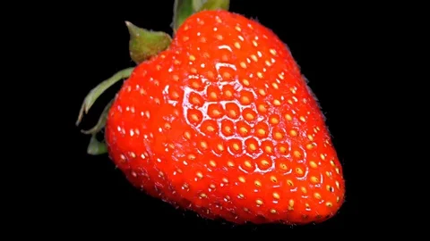 Fresh Strawberry on Black Background – close up, detail Stock Footage 90803963
