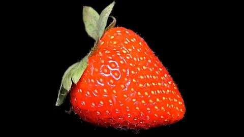 Fresh Strawberry on Black Background – close up, detail Stock Footage 90803965