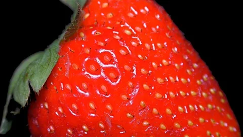 Fresh Strawberry on Black Background – close up, detail Stock Footage 90803994