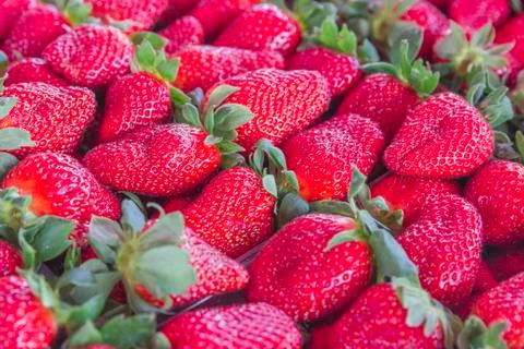 Fresh strawberry in boxes background Stock Photos