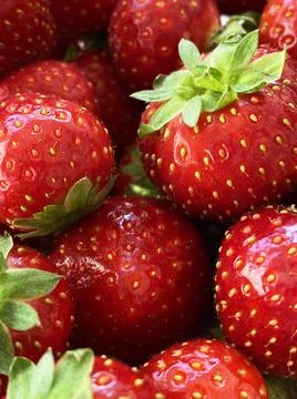 Fresh strawberry close up. background Stock Photos
