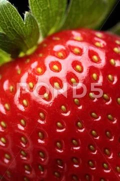 Fresh strawberry close-up Stock Photos