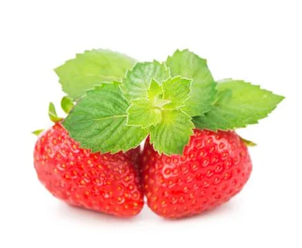 Fresh strawberry, mint sheets isolated on white background Stock Photos
