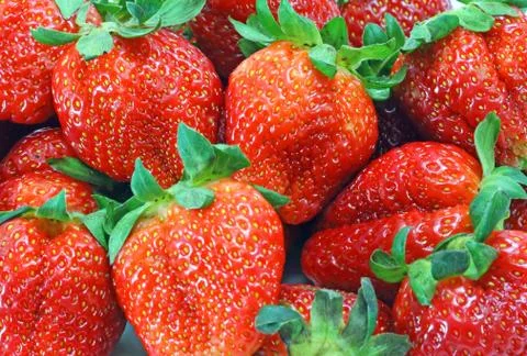 Fresh strawberry Stock Photos