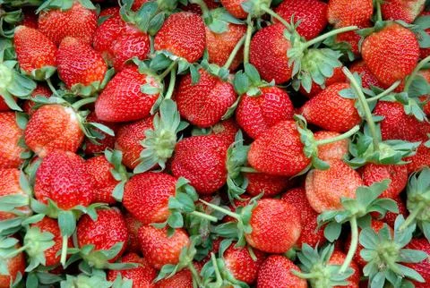 Fresh strawberry Foto stock