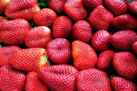 Fresh strawberry 스톡 사진