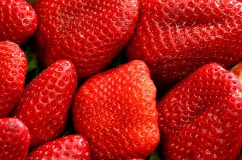 Fresh strawberry Stock Photos