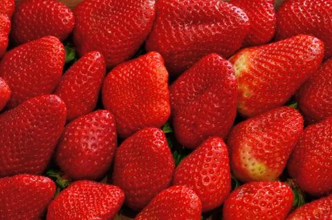 Fresh strawberry Stock Photos