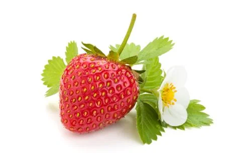 Fresh strawberry. Stock Photos