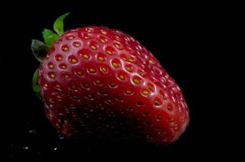 Fresh Strawberry Stock Photos