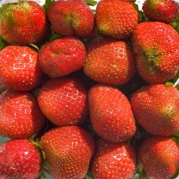 Fresh strawberry Stock Photos