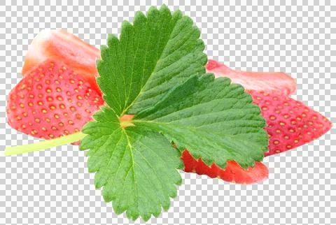 Fresh Strawberry Stock Photos