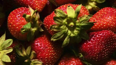 Fresh Strawberry Texture Background Stock Footage 339230292