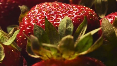 Fresh Strawberry Texture Background Stock Footage 339230295