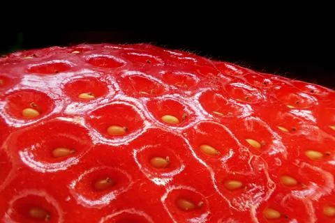 Fresh strawberry texture Stock Photos