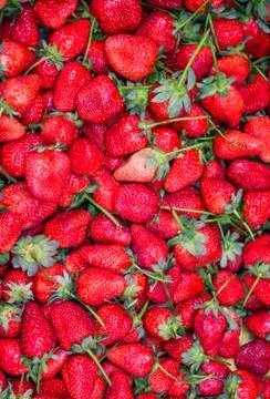 Fresh strawbery is red Stock Photos