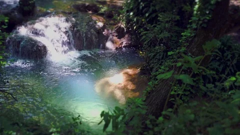 Fresh stream in forest video Stock Footage 81900983