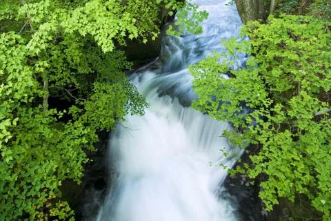 Fresh stream Stock-Fotos