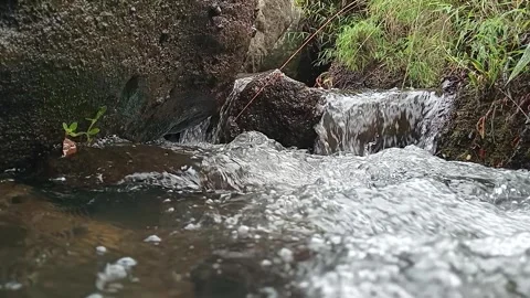 Fresh Stream Water Flowing Smoothly Over Stones Stock Footage 330349646