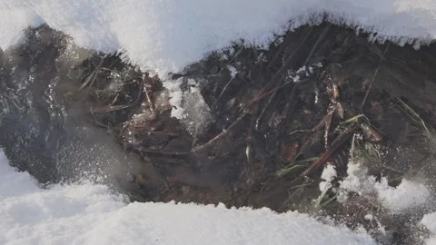 Fresh Stream Water of River in Winter Surrounded with Snow. Close Up View Video stock 170456374