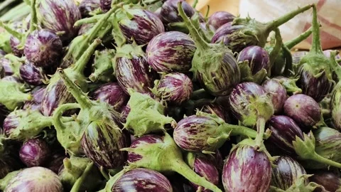 Fresh Striped Eggplants Displayed at Local Vegetable Market for Healthy Orga Vidéo 337874333
