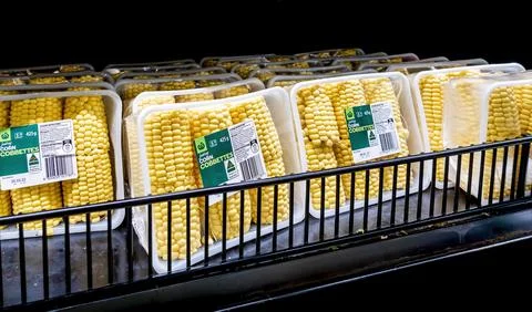 Fresh succulent mini corn cobs (cobbettes) packaged in plastic containers Stock Photos