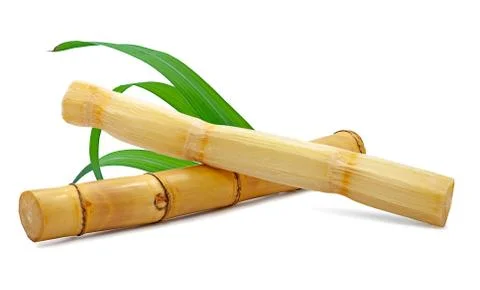 Fresh sugar cane isolated on white background Stock Photos