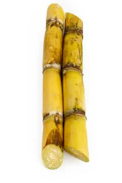 Fresh Sugar Cane Stock Photos