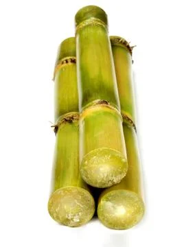 Fresh Sugarcane Stock Photos