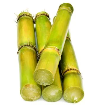 Fresh Sugarcane Stock Photos