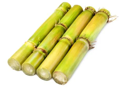 Fresh  Sugarcane Stock Photos
