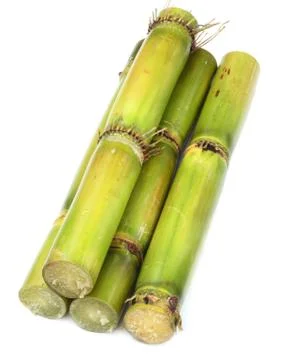 Fresh  Sugarcane Stock Photos