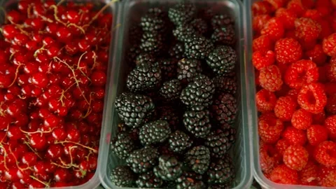 Fresh Summer Berries Close Up Pan Video stock 333226481