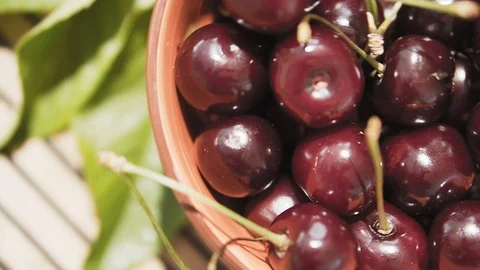 Fresh summer berries. Stock Footage 112219056