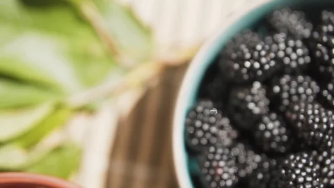 Fresh summer berries. Stock Footage 112219133