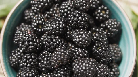 Fresh summer berries. Stock Footage 112219164